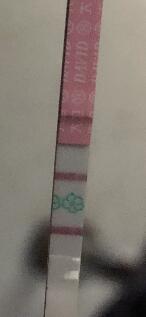 ����������˰�