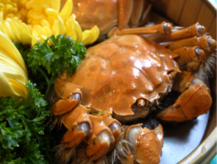 ������բз������Ӫ�����з�Է�